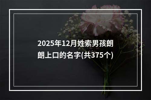 2025年12月姓索男孩朗朗上口的名字(共375个)