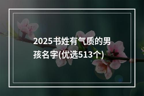 2025书姓有气质的男孩名字(优选513个)