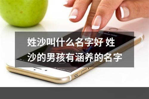 姓沙叫什么名字好 姓沙的男孩有涵养的名字