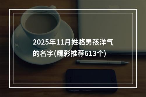 2025年11月姓骆男孩洋气的名字(精彩推荐613个)