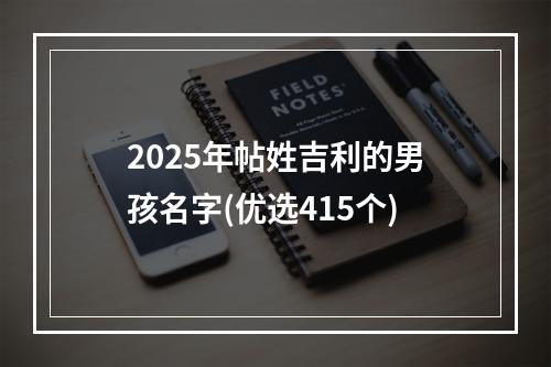 2025年帖姓吉利的男孩名字(优选415个)