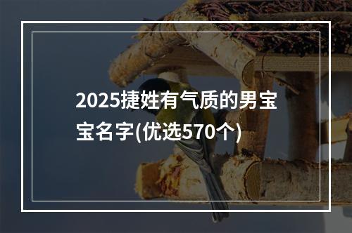 2025捷姓有气质的男宝宝名字(优选570个)