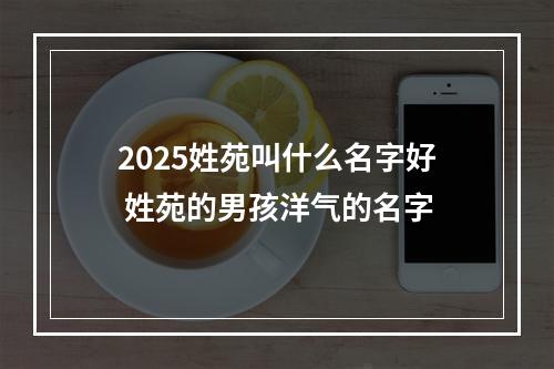 2025姓苑叫什么名字好 姓苑的男孩洋气的名字
