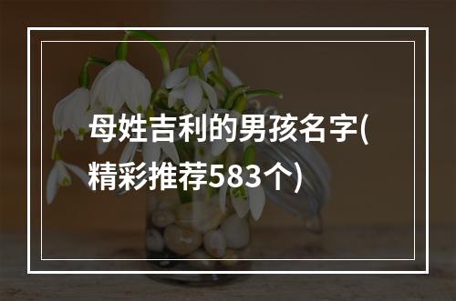 母姓吉利的男孩名字(精彩推荐583个)