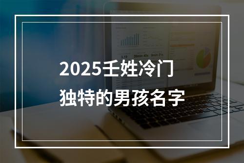 2025壬姓冷门独特的男孩名字