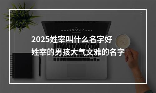 2025姓宰叫什么名字好 姓宰的男孩大气文雅的名字