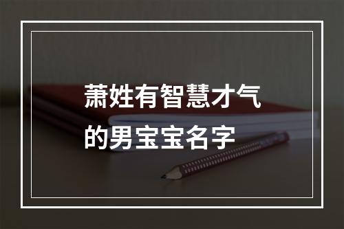 萧姓有智慧才气的男宝宝名字