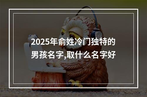 2025年俞姓冷门独特的男孩名字,取什么名字好
