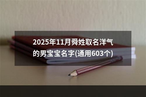 2025年11月舜姓取名洋气的男宝宝名字(通用603个)