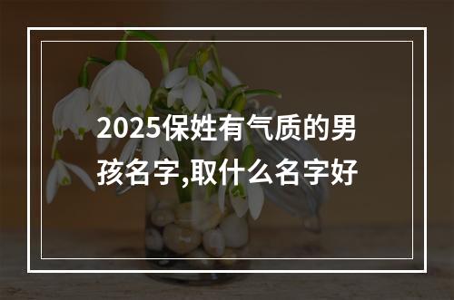 2025保姓有气质的男孩名字,取什么名字好