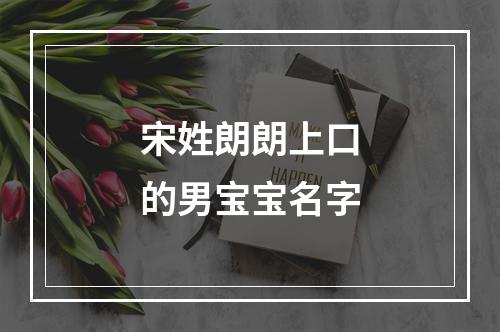 宋姓朗朗上口的男宝宝名字
