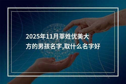 2025年11月莘姓优美大方的男孩名字,取什么名字好