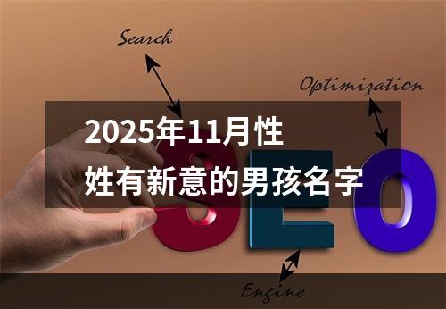 2025年11月性姓有新意的男孩名字
