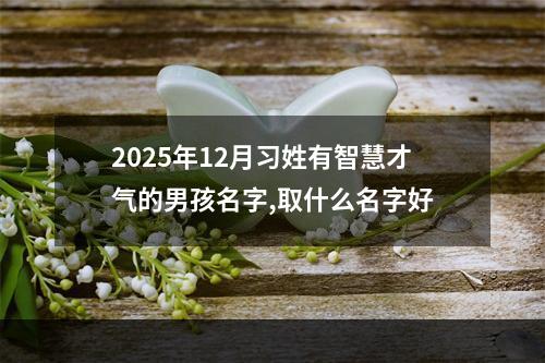 2025年12月习姓有智慧才气的男孩名字,取什么名字好