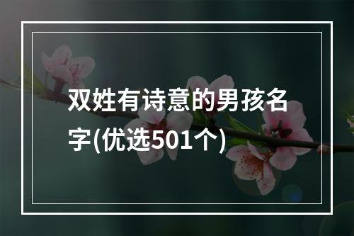 双姓有诗意的男孩名字(优选501个)