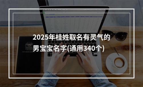 2025年桂姓取名有灵气的男宝宝名字(通用340个)