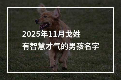 2025年11月戈姓有智慧才气的男孩名字