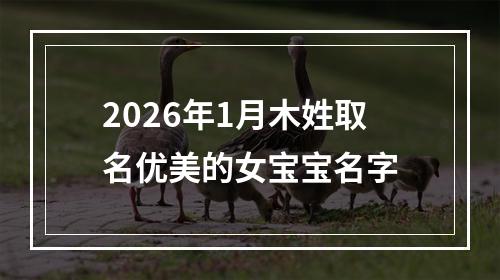 2026年1月木姓取名优美的女宝宝名字