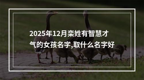 2025年12月栾姓有智慧才气的女孩名字,取什么名字好
