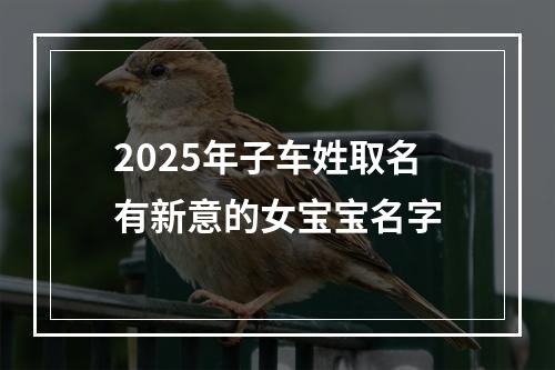 2025年子车姓取名有新意的女宝宝名字