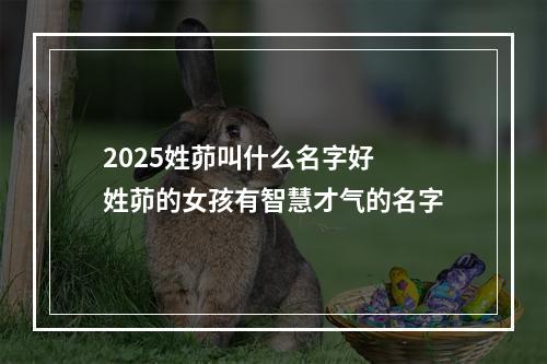 2025姓茆叫什么名字好 姓茆的女孩有智慧才气的名字