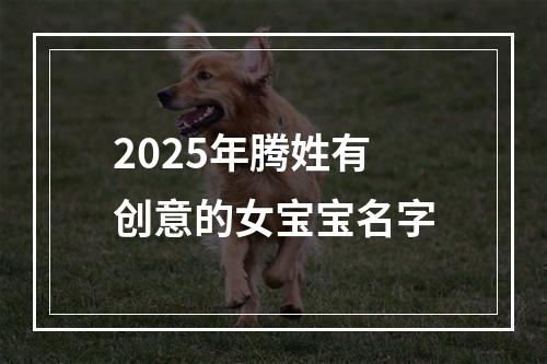 2025年腾姓有创意的女宝宝名字