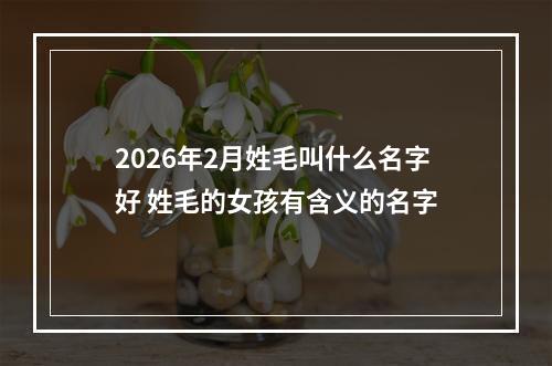2026年2月姓毛叫什么名字好 姓毛的女孩有含义的名字