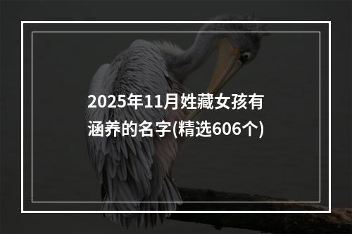 2025年11月姓藏女孩有涵养的名字(精选606个)