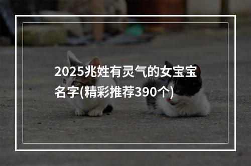 2025兆姓有灵气的女宝宝名字(精彩推荐390个)