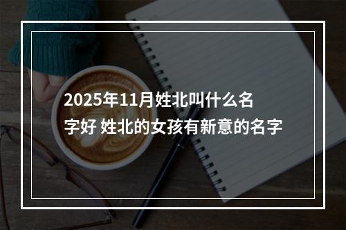 2025年11月姓北叫什么名字好 姓北的女孩有新意的名字