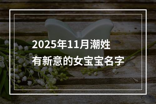 2025年11月潮姓有新意的女宝宝名字