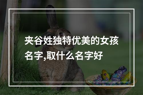 夹谷姓独特优美的女孩名字,取什么名字好