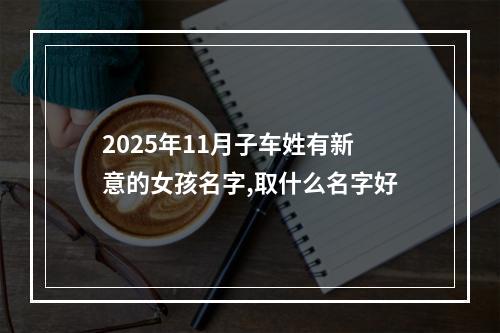 2025年11月子车姓有新意的女孩名字,取什么名字好