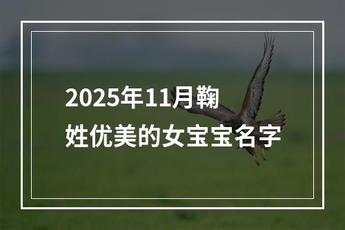 2025年11月鞠姓优美的女宝宝名字