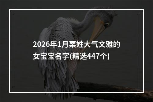 2026年1月栗姓大气文雅的女宝宝名字(精选447个)