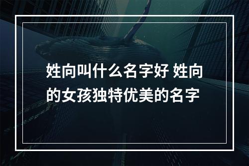 姓向叫什么名字好 姓向的女孩独特优美的名字