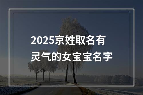 2025京姓取名有灵气的女宝宝名字