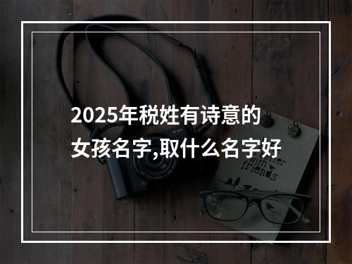 2025年税姓有诗意的女孩名字,取什么名字好