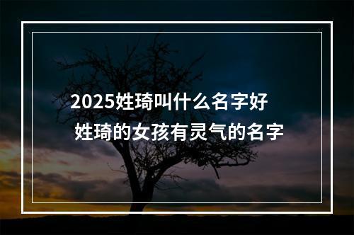 2025姓琦叫什么名字好 姓琦的女孩有灵气的名字