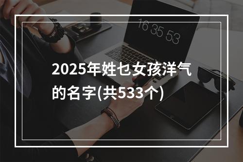 2025年姓乜女孩洋气的名字(共533个)
