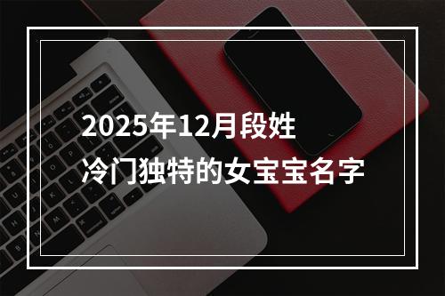 2025年12月段姓冷门独特的女宝宝名字