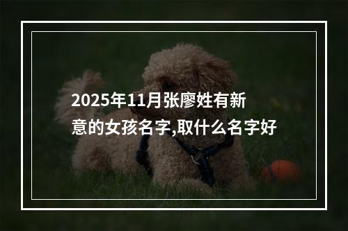 2025年11月张廖姓有新意的女孩名字,取什么名字好