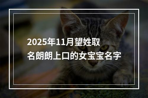 2025年11月望姓取名朗朗上口的女宝宝名字