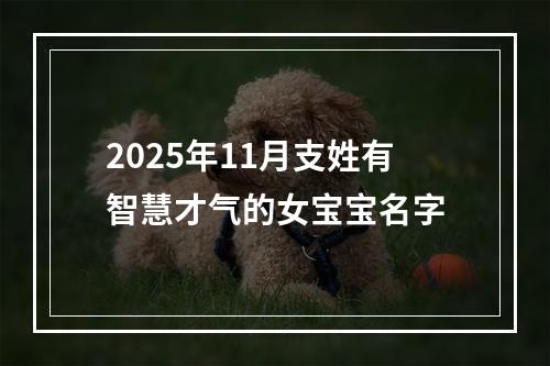 2025年11月支姓有智慧才气的女宝宝名字