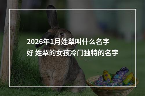2026年1月姓犁叫什么名字好 姓犁的女孩冷门独特的名字