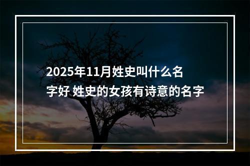 2025年11月姓史叫什么名字好 姓史的女孩有诗意的名字