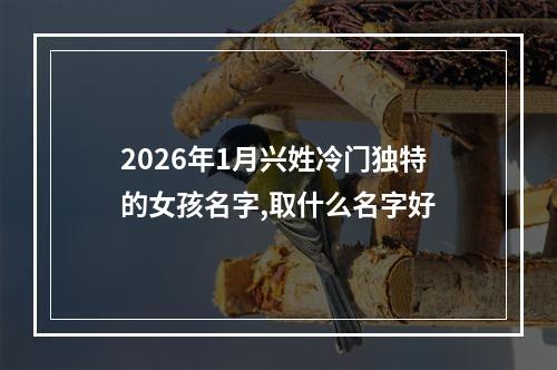 2026年1月兴姓冷门独特的女孩名字,取什么名字好