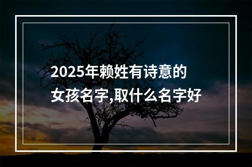 2025年赖姓有诗意的女孩名字,取什么名字好