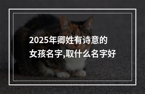 2025年卿姓有诗意的女孩名字,取什么名字好