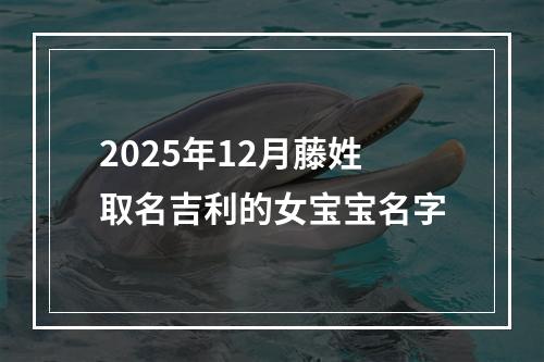 2025年12月藤姓取名吉利的女宝宝名字